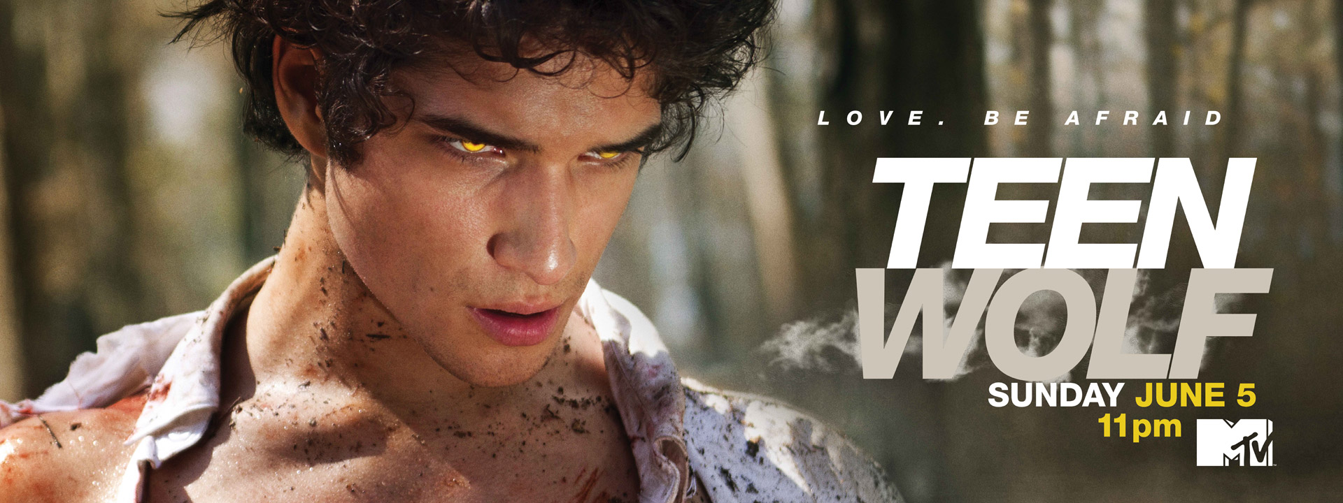 teen-wolf-2011-banner.jpg