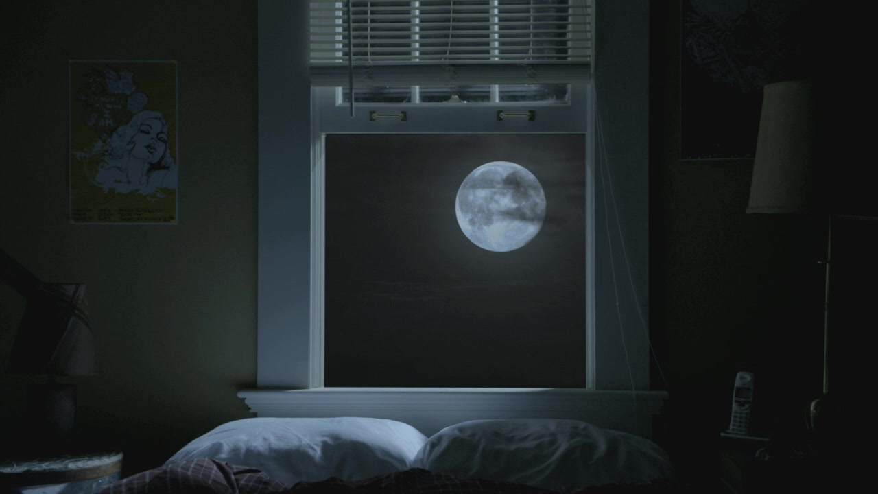 teen_wolf_s01e01_kissthemgoodbye_net_1217.jpg