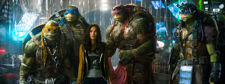 turtles213116.jpg