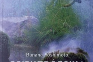 Banana Yoshimoto: Csipkerózsika álom - japán novellák