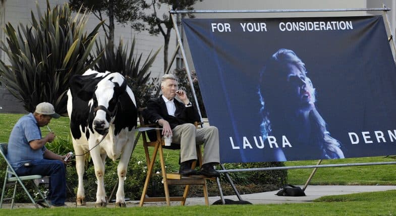 david-lynch-cow-laura-dern-oscar-inland-empire.jpg