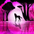 Az Apokalipszis most és a Bambi szerelemgyerekével jön a 20. Anilogue