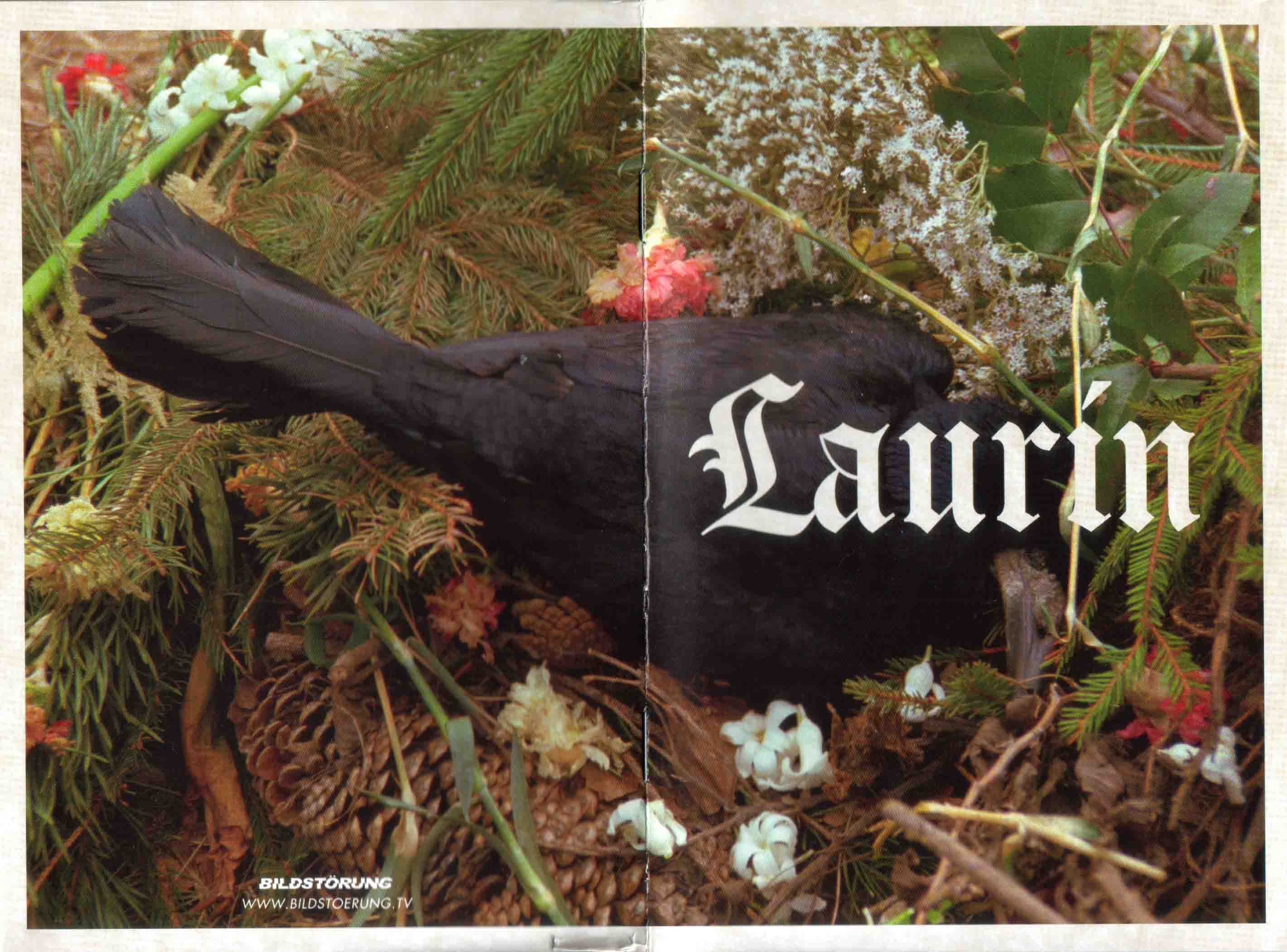 laurin_booklet_small.jpg