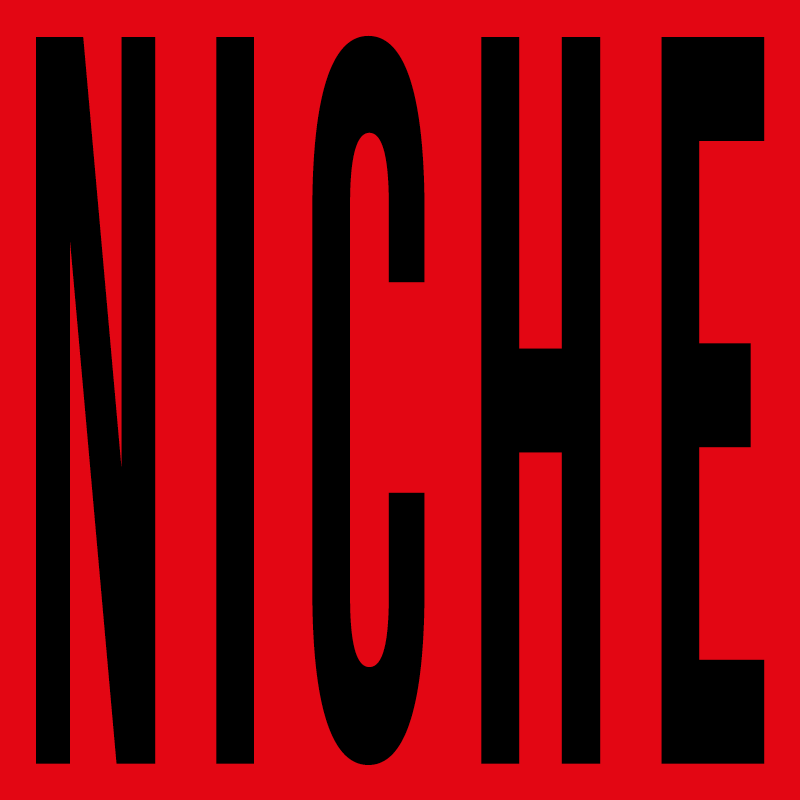 niche_logo_a_touch_of_sin.png