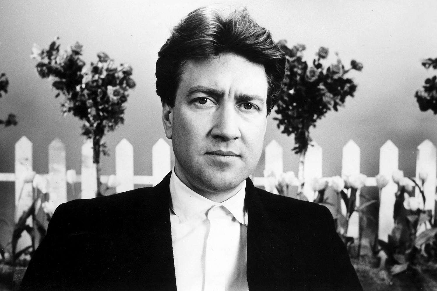 david_lynch.jpg