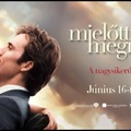 Mielőtt megismertelek - Me Before You (2016)