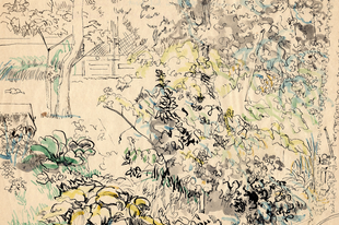 Vannak-e természet törvények?