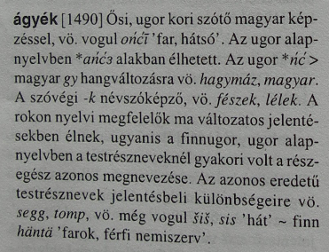 ágyék_z.png