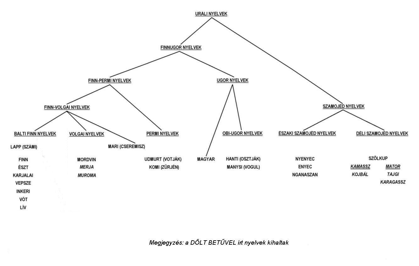 urali_nyelvek-finnugor_csaladfa.jpg