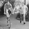 Robin Williams, a bringaőrült