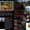 Elindult a Fishing Time Magazin