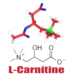 1l-carnitine_2.png