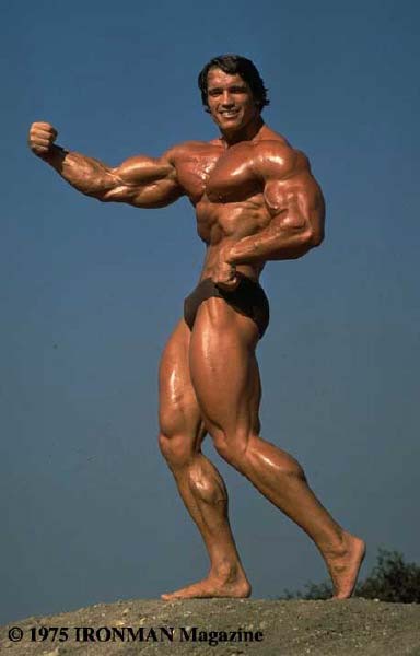 arnold2.jpg