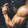 A bicepsz edzése
