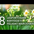 8 fontos kertészeti feladat márciusban