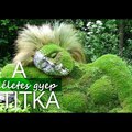 A tökéletes gyep - csak 7 dologra kell figyelni!