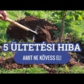 5 ültetési hiba, amit ne kövess el!