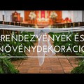 A legötletesebb növénydekorációk rendezvényekre!