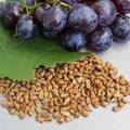 A szőlőmag és a szőlőtörköly fiziológiailag aktív molekuláris összetevőinek hasznosítása