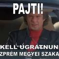 Megyei matrica