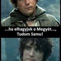 Megyei matrica