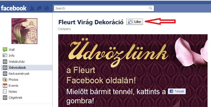 -10% kedvezmény csokrainkból minden Facebook rajongónknak