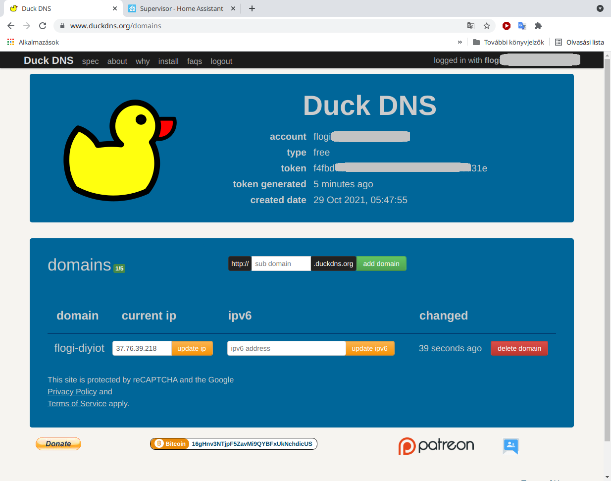 12-duckdns.png