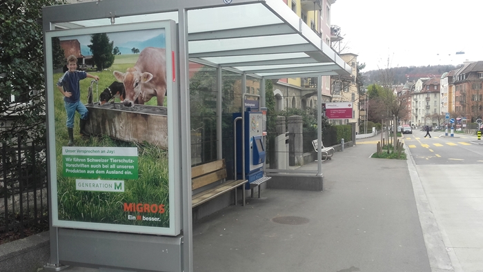 zurichbusz.jpg