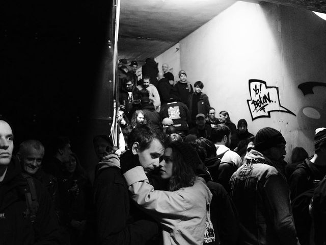 a fehér csibék szeretik a nagy farkukat