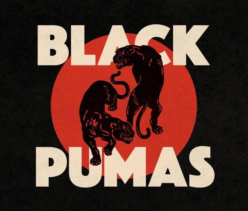 all black pumas