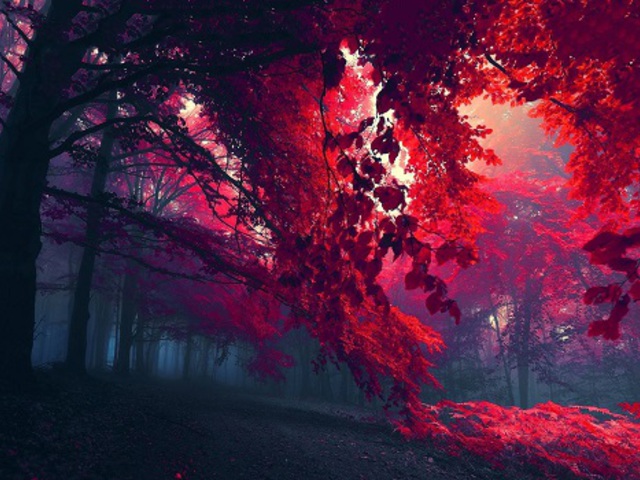 nagy lányok tumblr hd swinger orgia