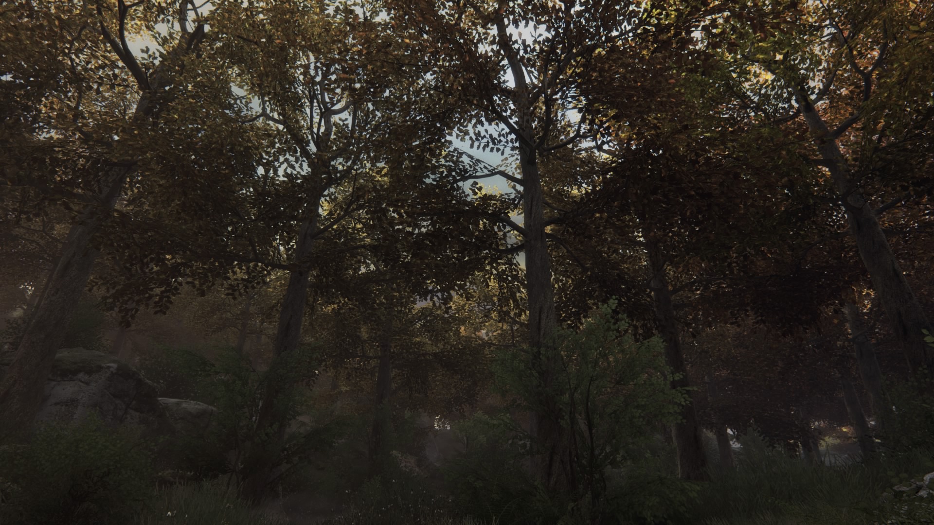 the_vanishing_of_ethan_carter_20180222210708.jpg