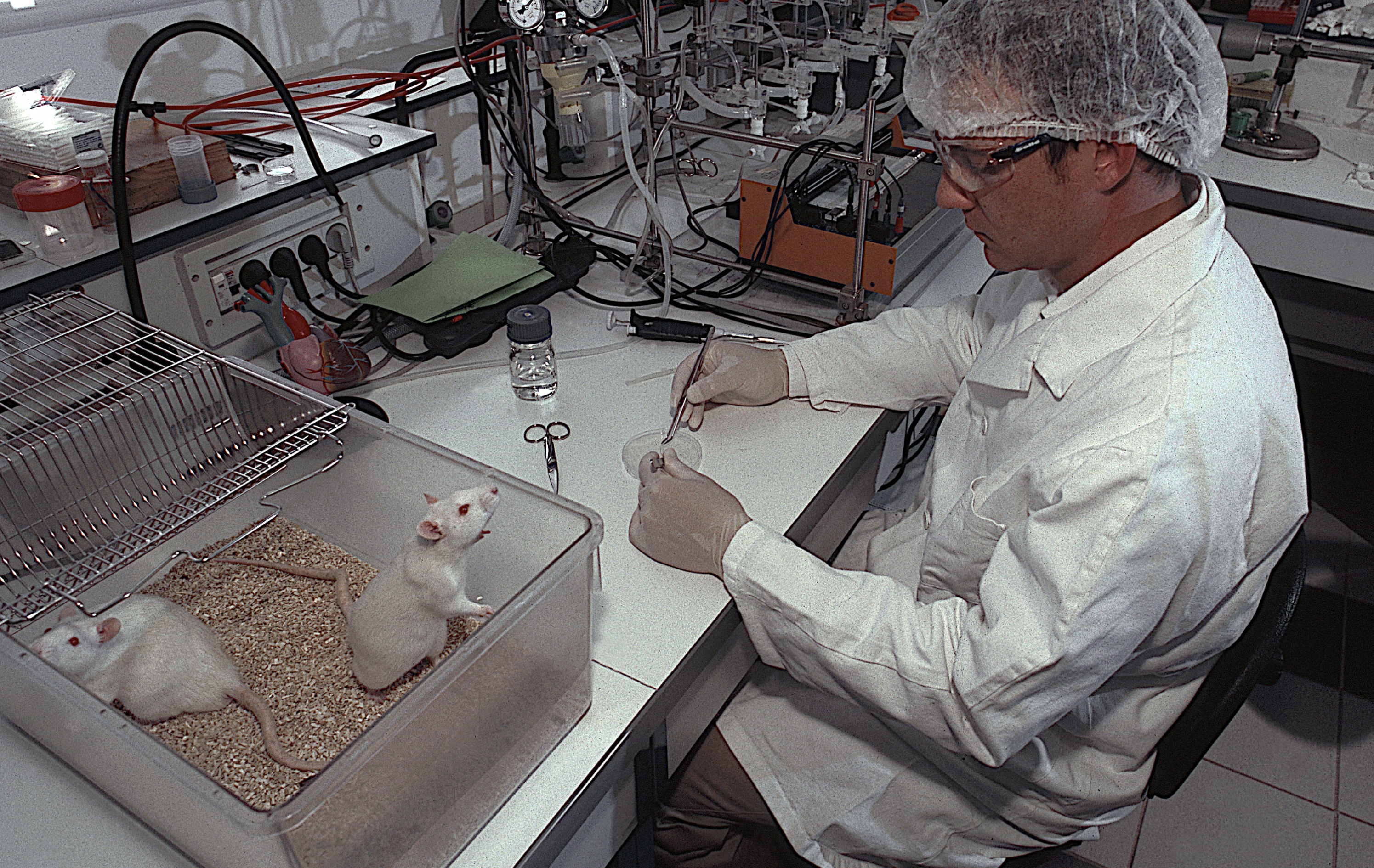 lab-rats-bred-crop.jpg