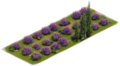 lavender_lawn.png