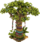 decorated_baobab.png