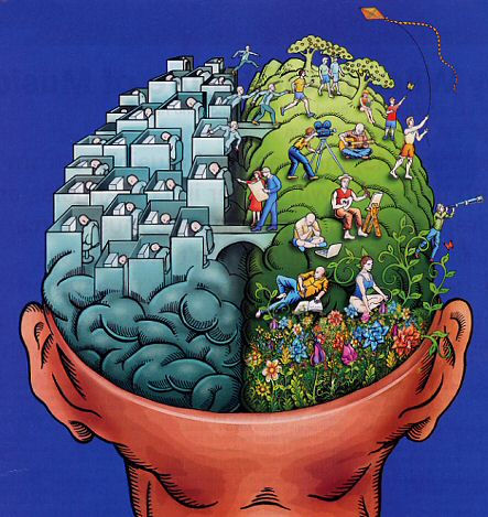 right-brain-left-brain-illustration.jpg