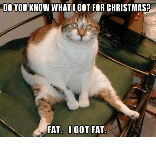 do-you-know-whatigot-for-christmas-fat-i-got-fat-29817605.png