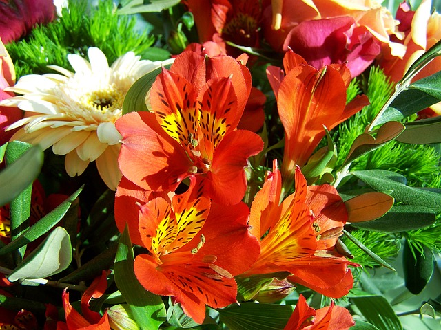 bunch-of-flowers-1329461_640.jpg