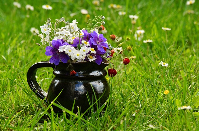 flower-meadow-1448417_640.jpg
