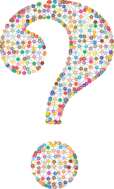question-mark-1751308_640.png