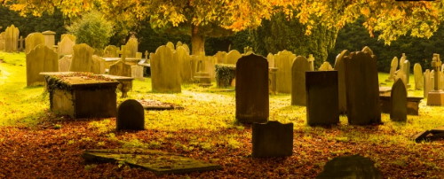 autumn_cut.jpg