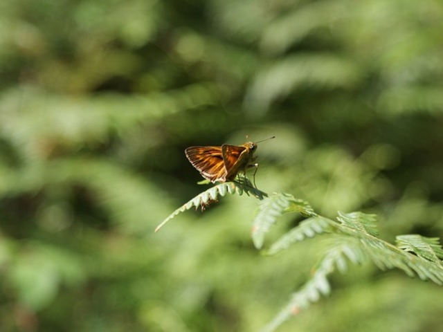 Natura 2000 – áldás vagy átok?