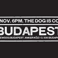 Pénteken nyit a BrewDog Bar Budapest!