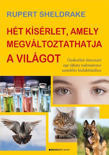 kep_2025-02-15_201117739.png