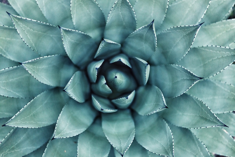 photo_by_erol_ahmed_on_unsplash.jpg