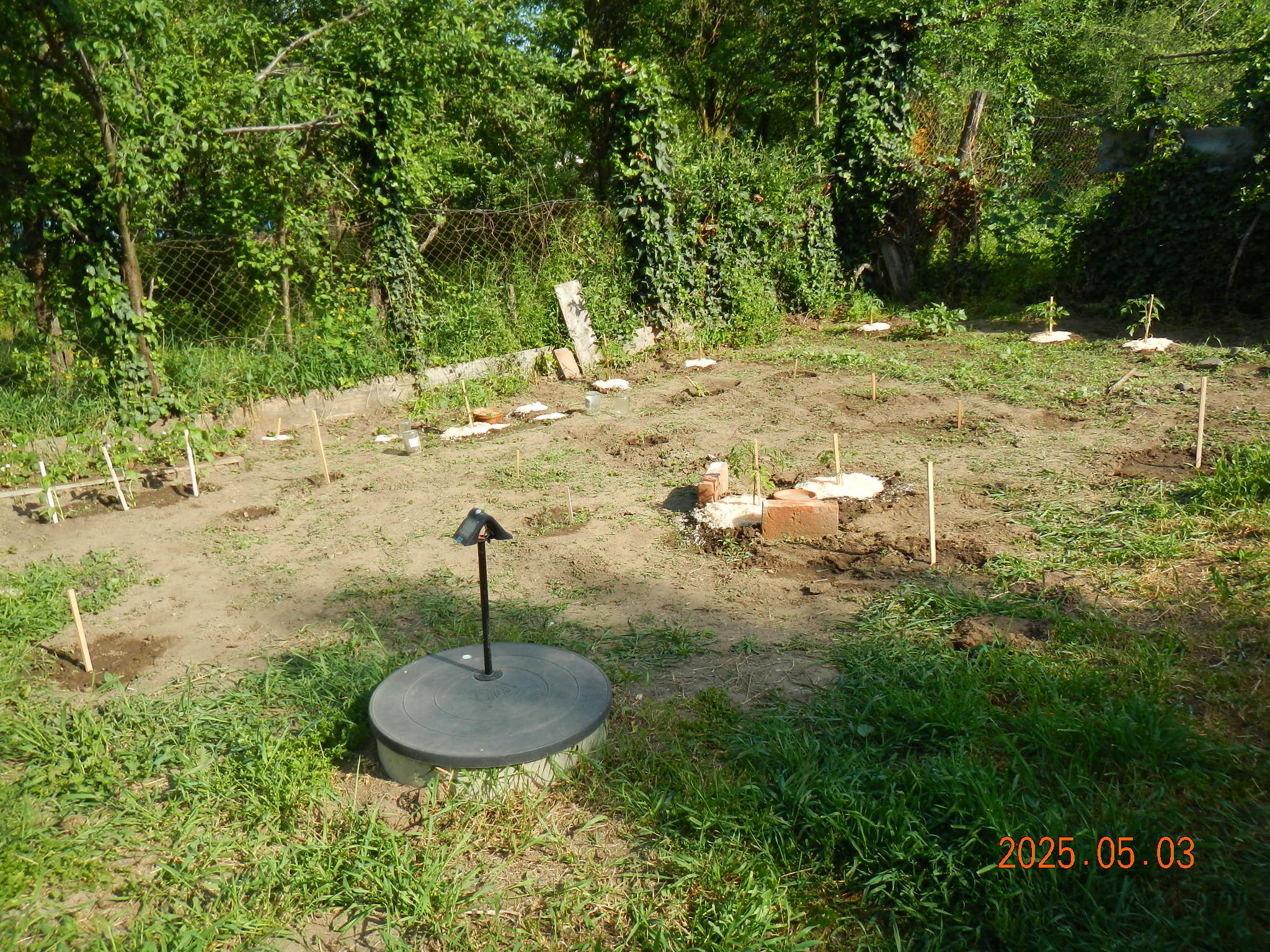 dscn0010_1.JPG