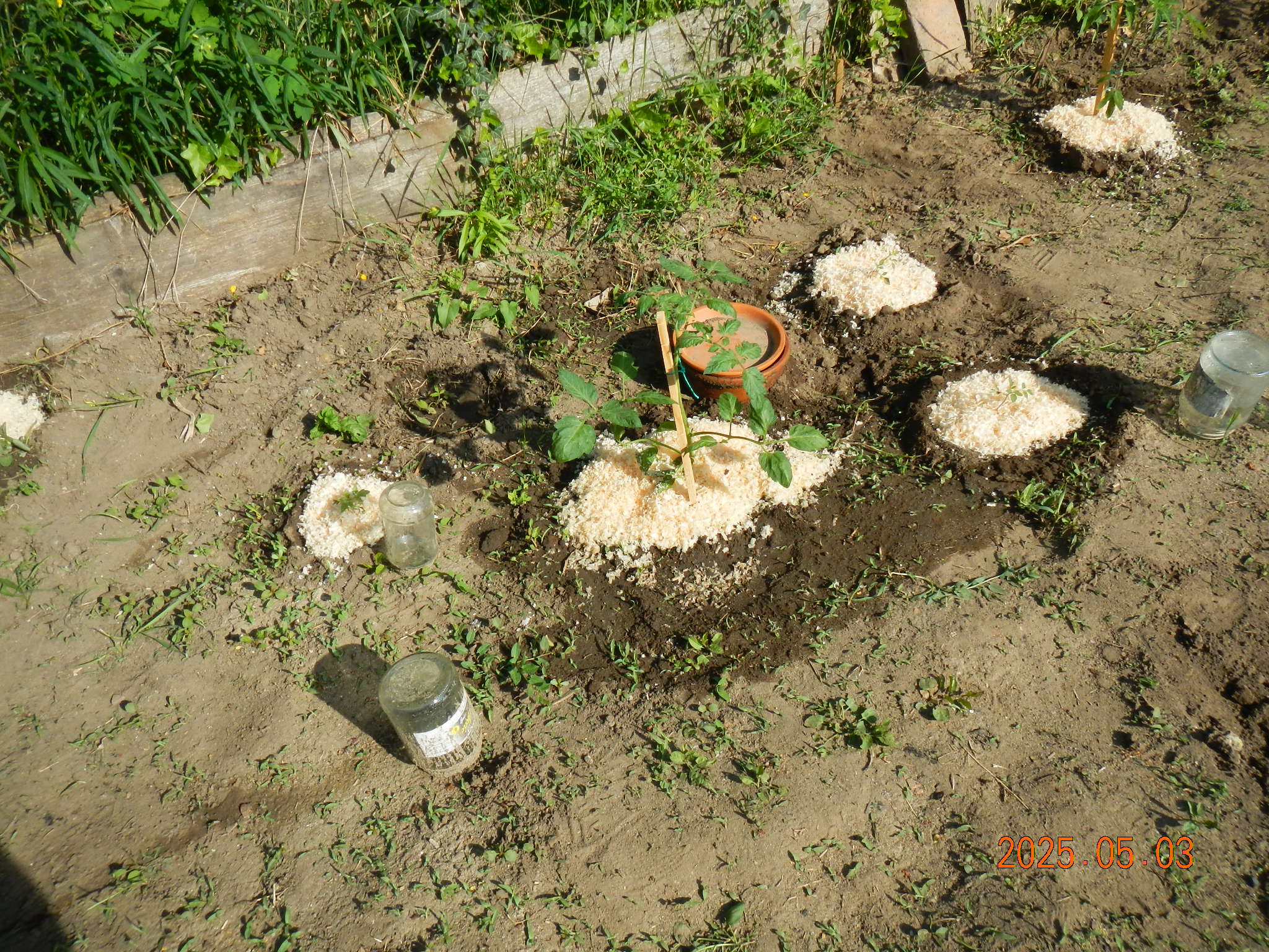 dscn0012_1.JPG