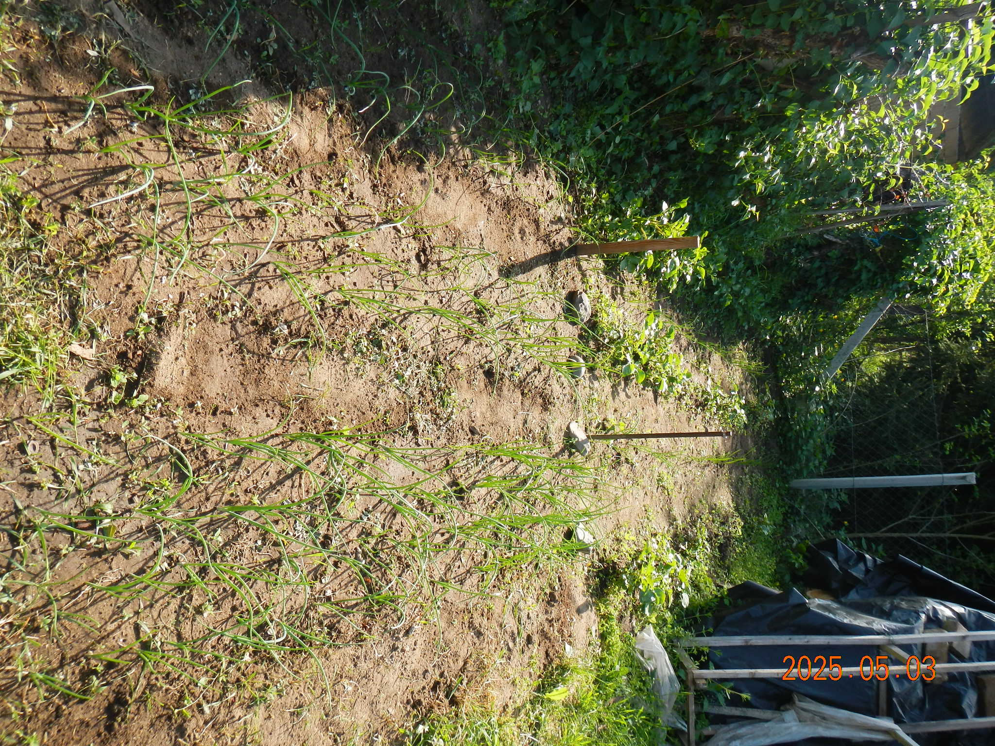 dscn0014.JPG