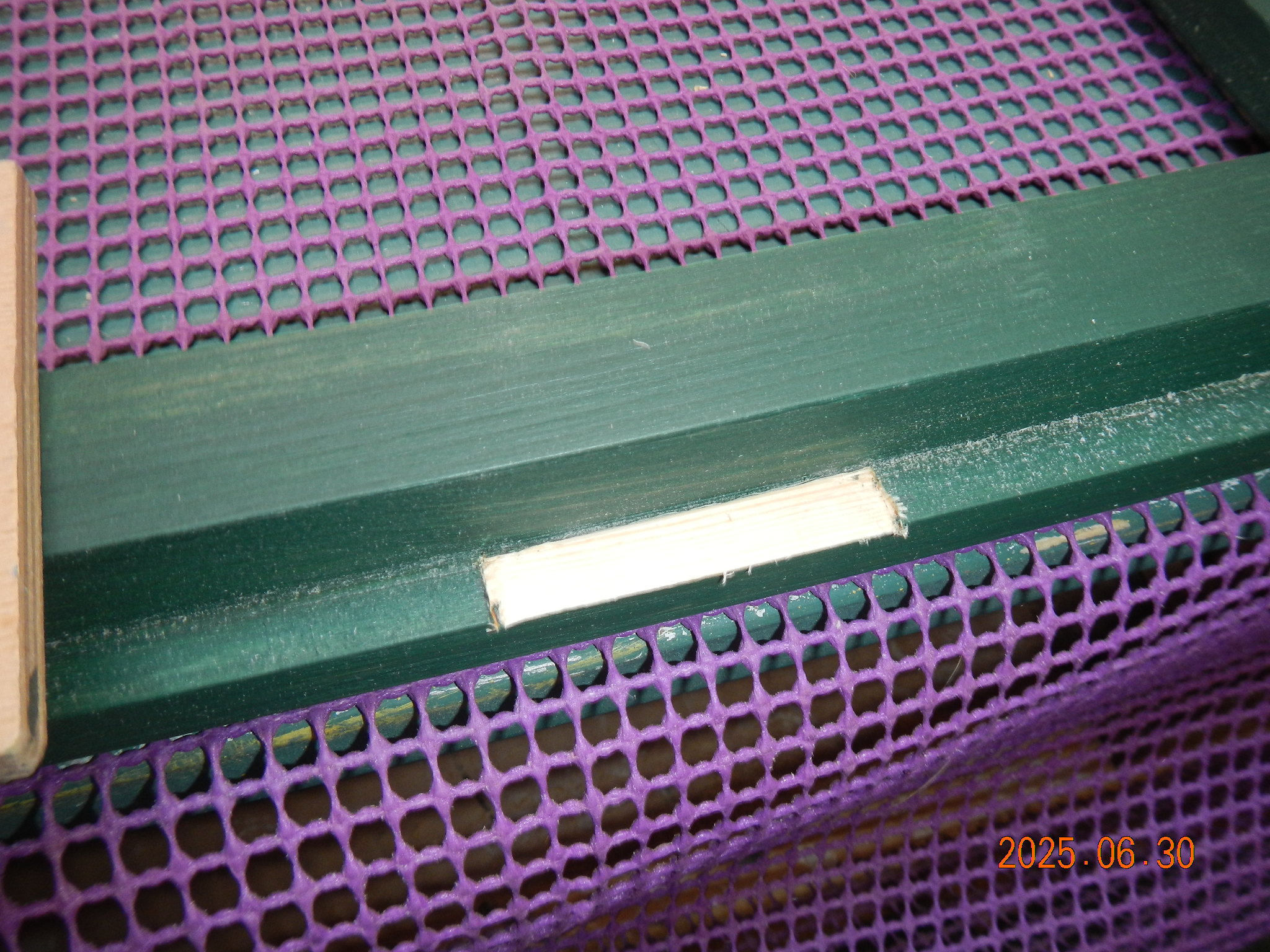 dscn0153.JPG