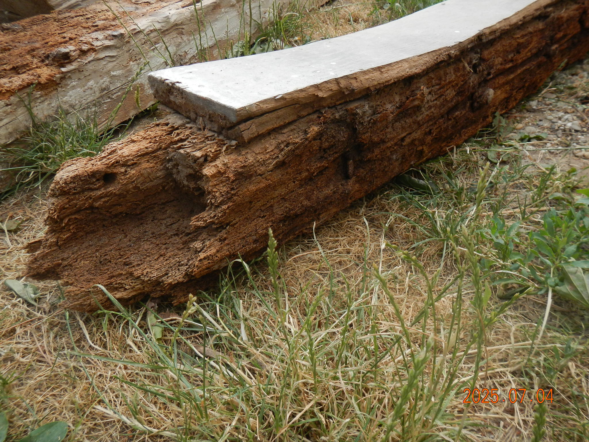 dscn0193.JPG